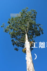 員工離職一年后是否可以討要加班費(fèi)？